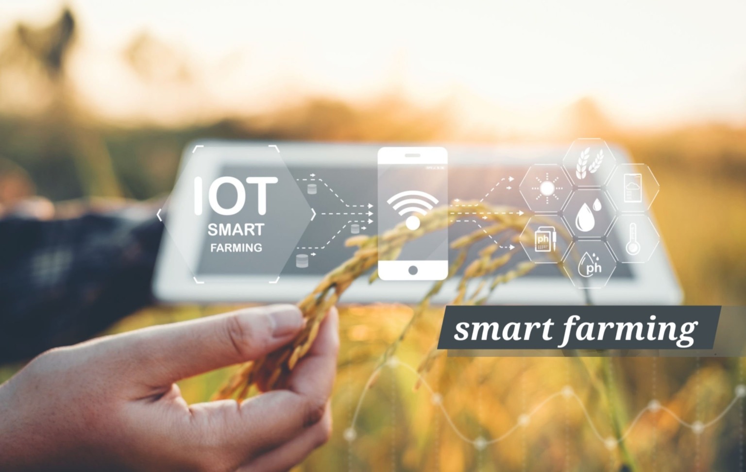 Karnataka Rice Industries » Contact us » #1 Wholesale Rice Suppliers in ...